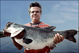 Lake Toho Bass Fishing Captain-Chancey