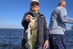 20260218_101131