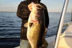 IMG_20220212_174325_126
