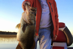 bass_466