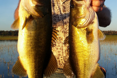 doubled up