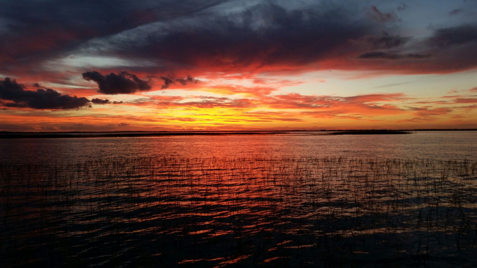 Lake Toho sunrise