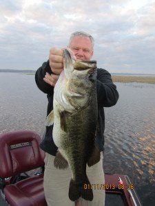 Giant Florida bass