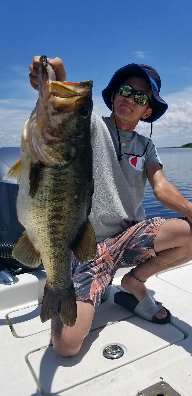 Giant Lake Toho bass