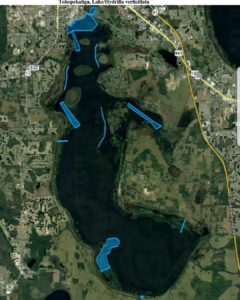 Lake Toho October 2018 hydrilla spray map