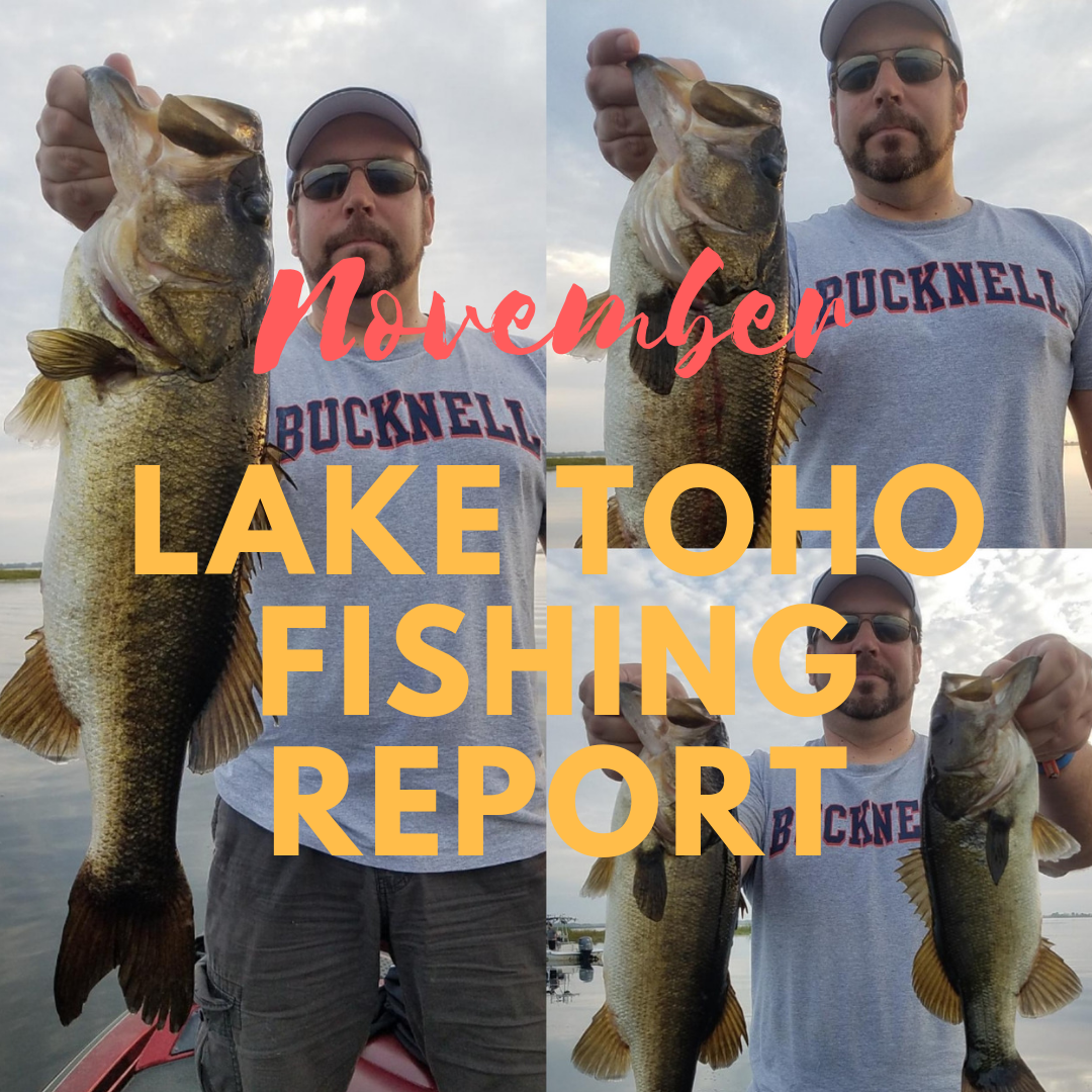 November Lake Toho fishing report