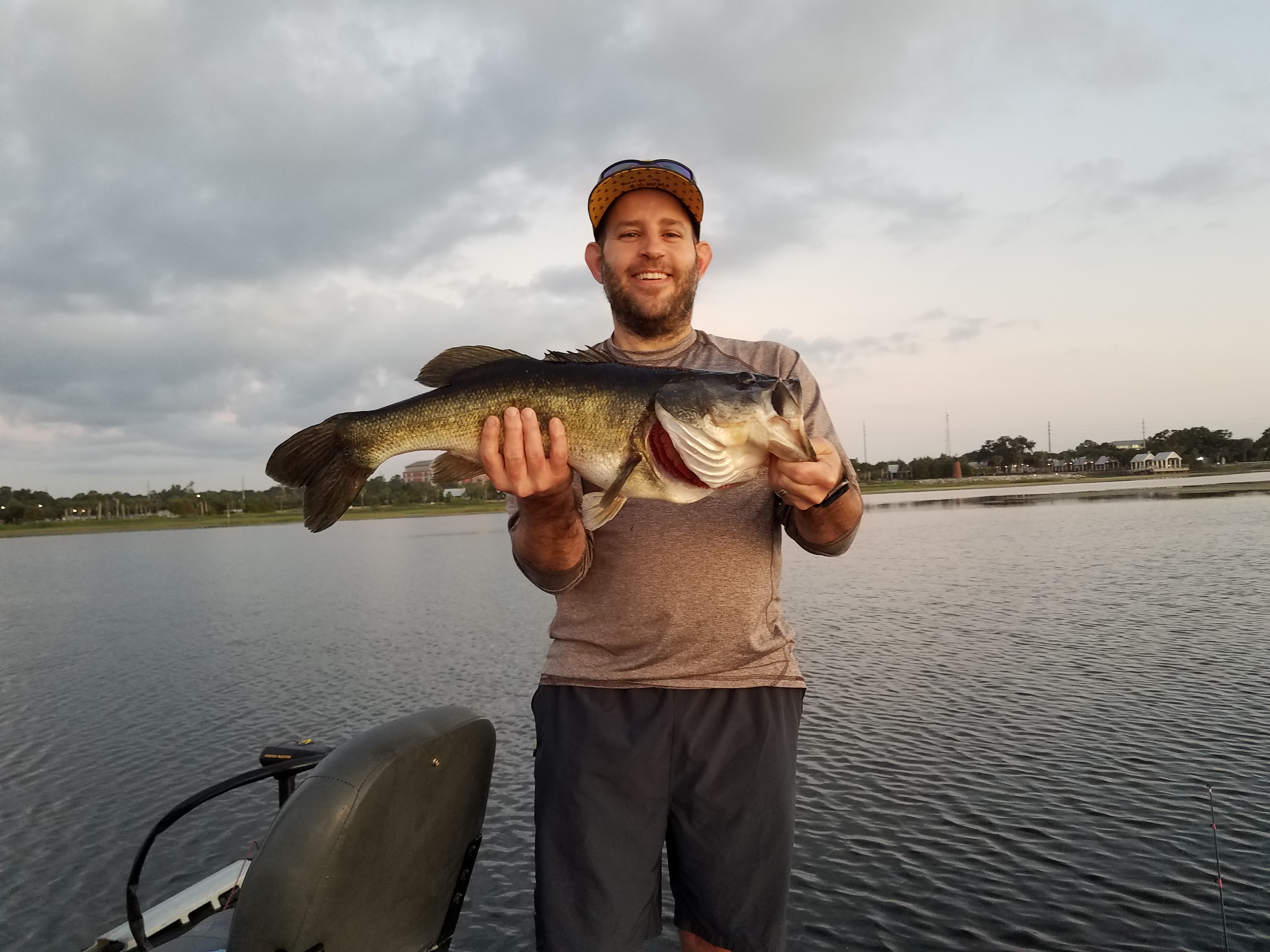 How to catch bass in Florida