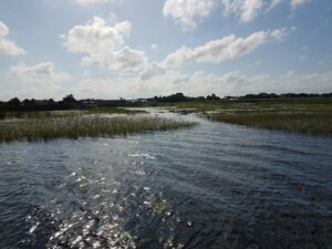 Lake Toho