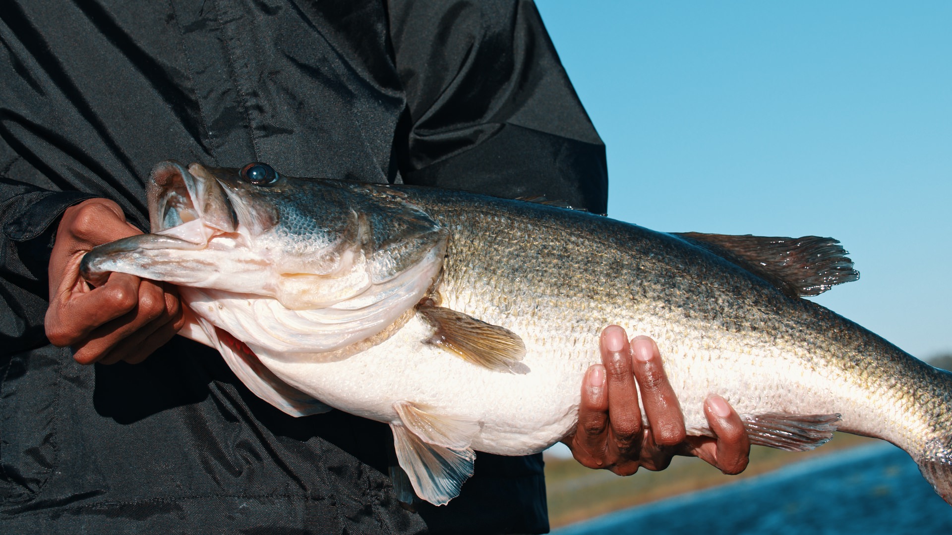Florida bass fishing guides
