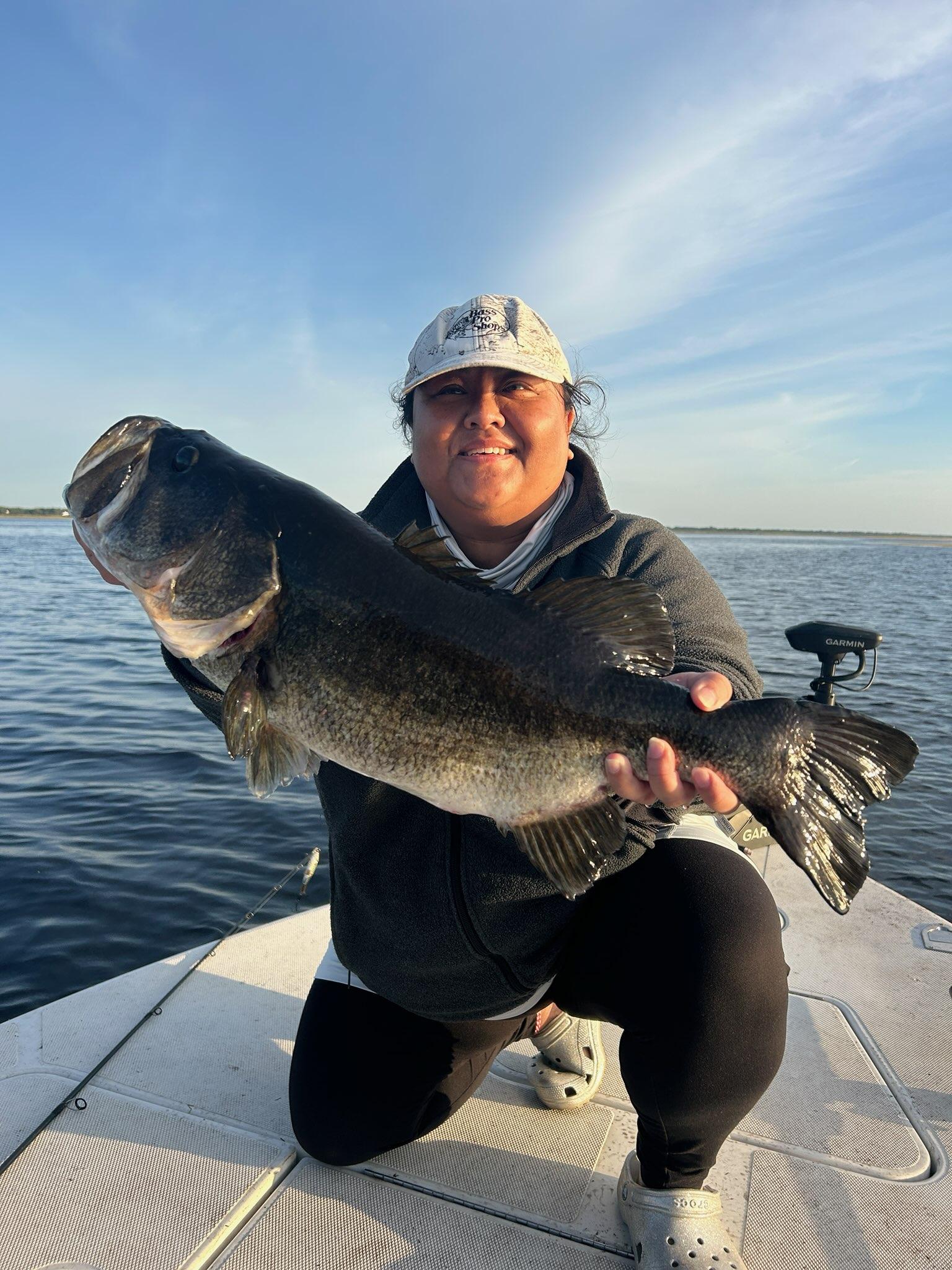 Giant Lake Toho bass